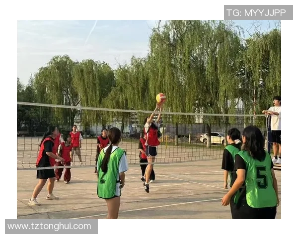 西安排球队的成长历程与挑战揭秘锦标赛背后的奋斗与荣耀