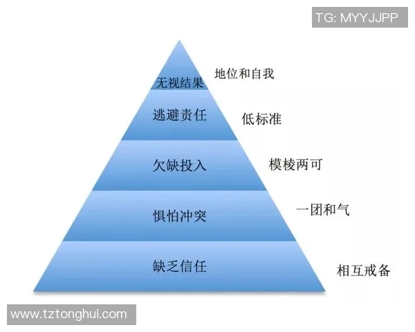 杭州排球队战术创新与团队协作的深度解析与展望