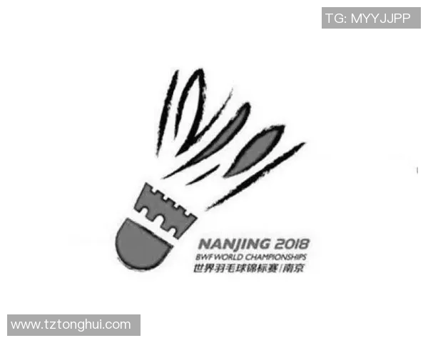 南京羽毛球队运营策略深度分析与发展前景展望