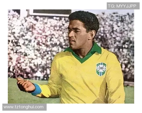 国外足球明星的中文外号揭秘与趣味分析