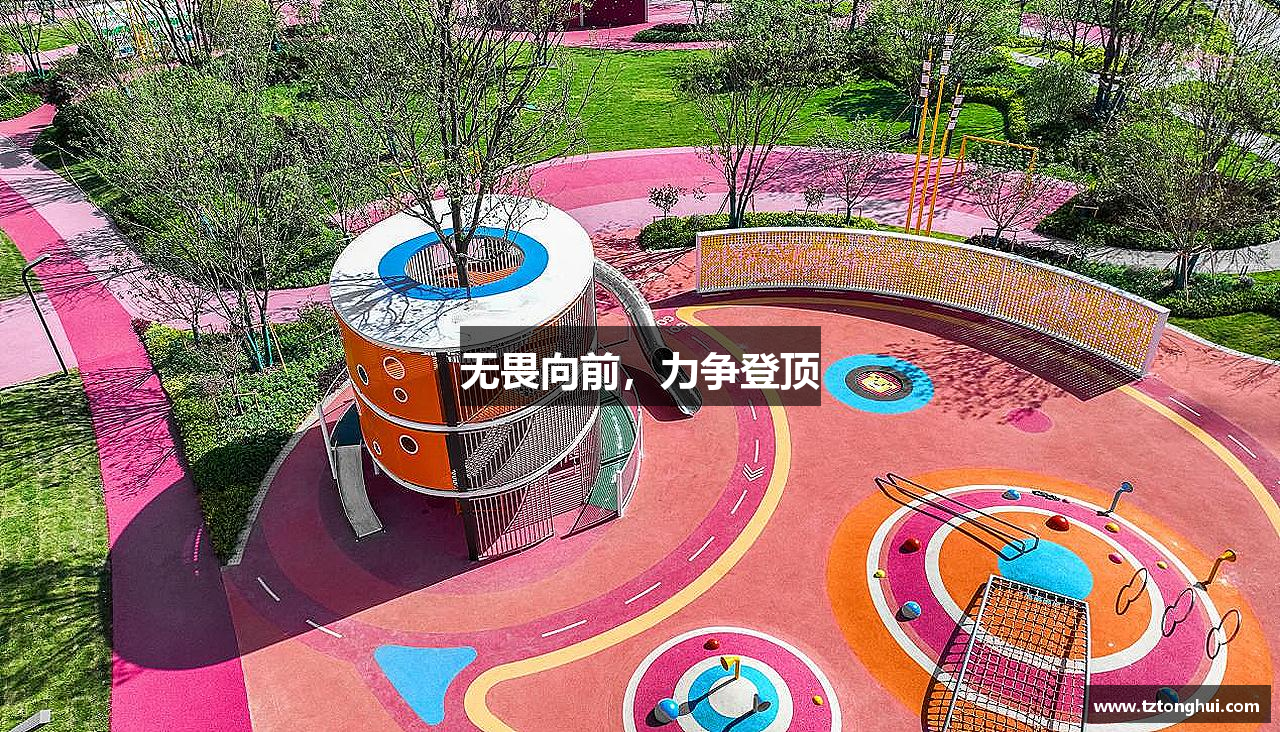 无畏向前，力争登顶